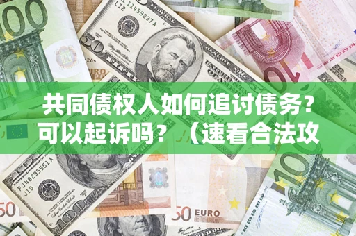 北京共同债权人如何追讨债务？可以起诉吗？（速看合法攻略）