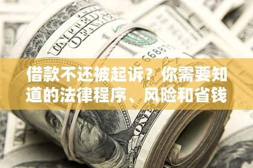 北京借款不还被起诉？你需要知道的法律程序、风险和省钱技巧