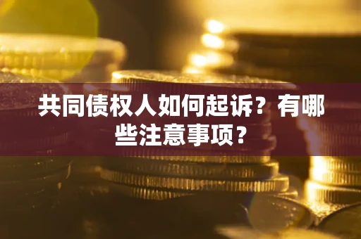 北京共同债权人如何起诉？有哪些注意事项？